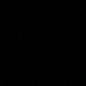 Meet your Posher, Lesley